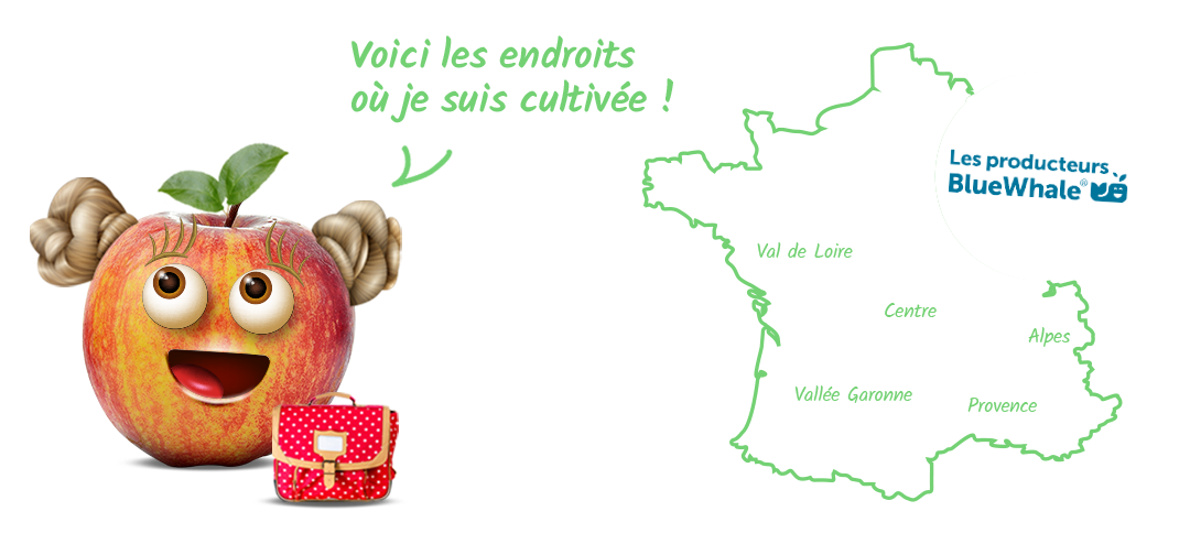 Production des pommes en France