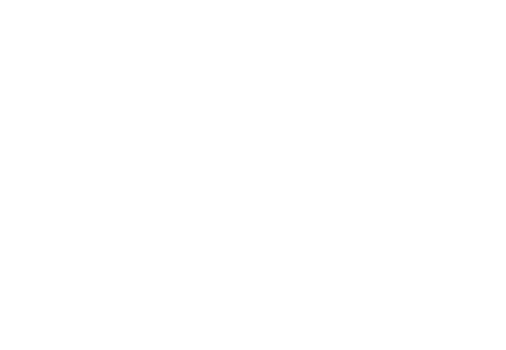 Le Brie de Meaux