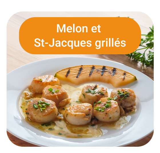 Melon et St Jacques