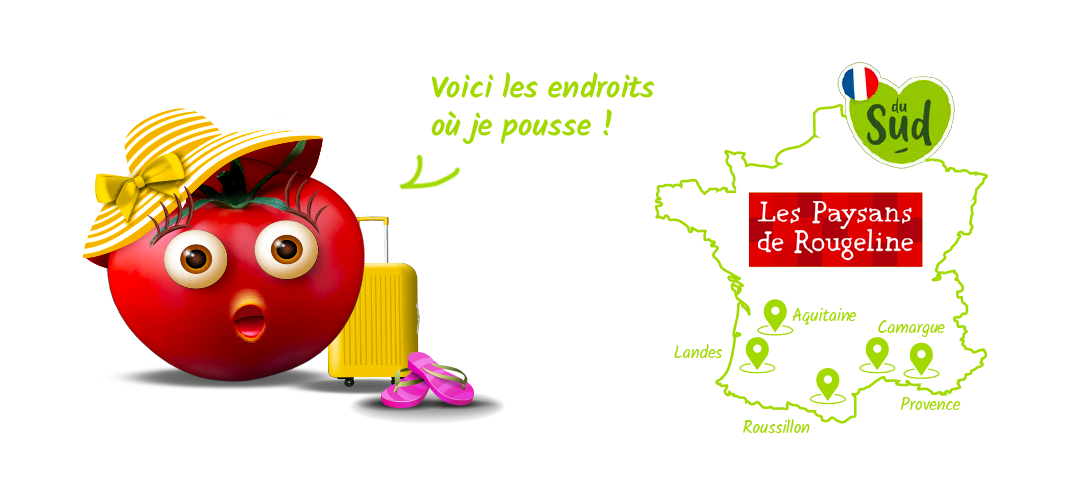 Production française de vos tomates